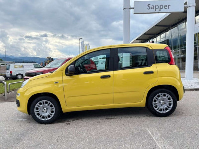 Fiat Panda Vorführwagen