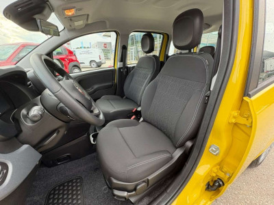 Fiat Panda Vorführwagen