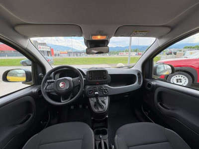 Fiat Panda Vorführwagen