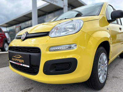 Fiat Panda Vorführwagen