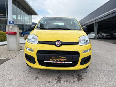 Fiat Panda Vorführwagen