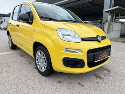 Fiat Panda Vorführwagen