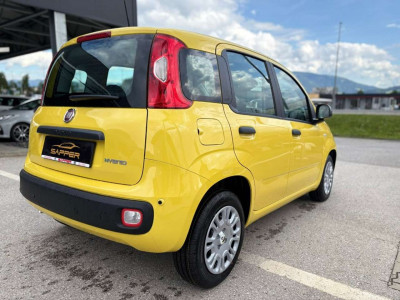 Fiat Panda Vorführwagen