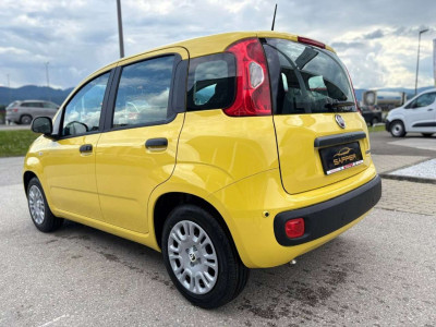 Fiat Panda Vorführwagen