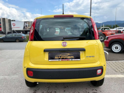 Fiat Panda Vorführwagen