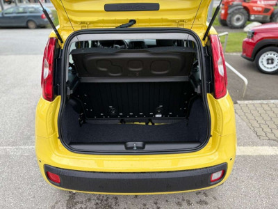Fiat Panda Vorführwagen