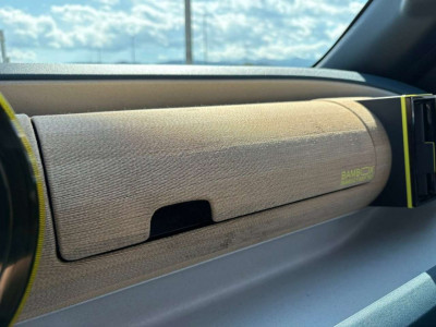 Fiat Grande Panda Vorführwagen