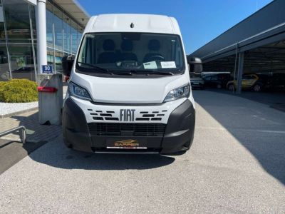 Fiat Ducato Neuwagen Fiat Ducato Neuwagen