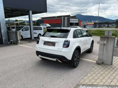 Fiat 600 Vorführwagen Fiat 600 Vorführwagen