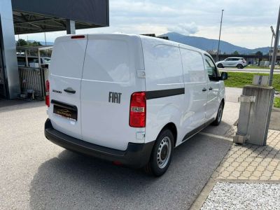 Fiat Scudo Neuwagen