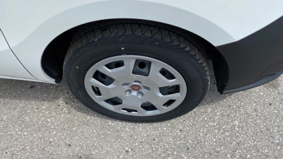 Fiat Doblo Vorführwagen