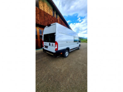 Fiat Ducato Gebrauchtwagen Fiat Ducato Gebrauchtwagen