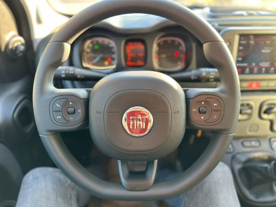 Fiat Panda Vorführwagen Fiat Panda Vorführwagen