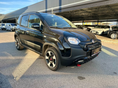 Fiat Panda Vorführwagen Fiat Panda Vorführwagen