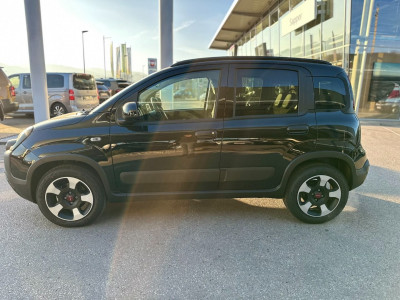 Fiat Panda Vorführwagen Fiat Panda Vorführwagen