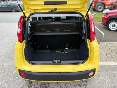 Fiat Panda Vorführwagen Fiat Panda Vorführwagen