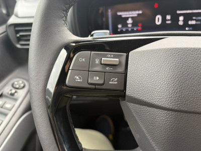 Fiat Fiorino Qubo Neuwagen