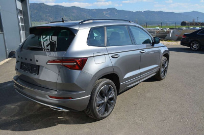 Skoda Karoq Gebrauchtwagen