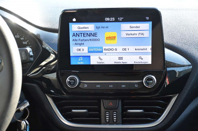 Ford Fiesta Gebrauchtwagen