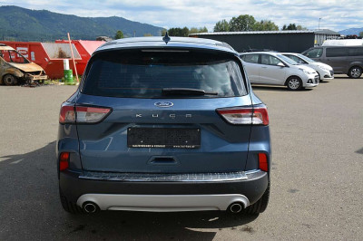 Ford Kuga Gebrauchtwagen