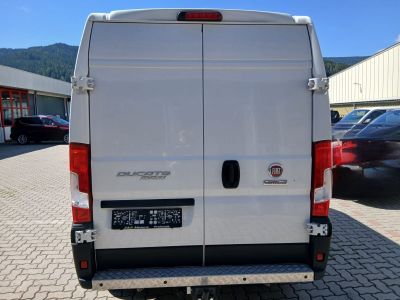 Fiat Ducato Gebrauchtwagen