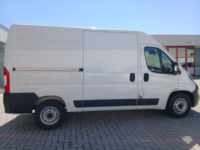 Fiat Ducato Gebrauchtwagen