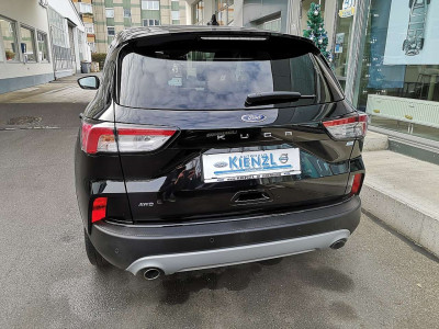 Ford Kuga Gebrauchtwagen