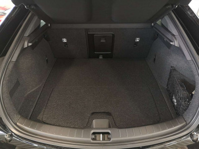 Polestar Polestar 2 Vorführwagen