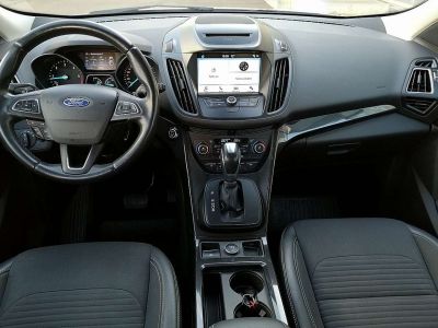 Ford Kuga Gebrauchtwagen