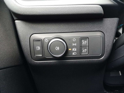 Ford Kuga Vorführwagen