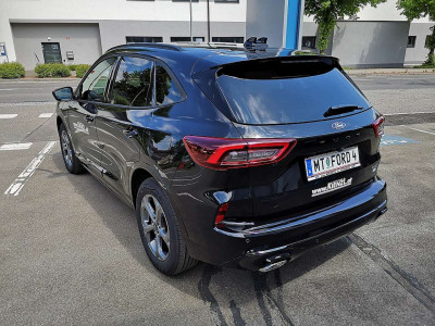 Ford Kuga Vorführwagen