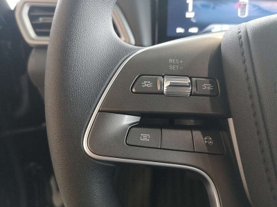 BYD Atto 2 Gebrauchtwagen BYD Atto 2 Gebrauchtwagen