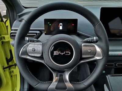 BYD Dolphin Surf Neuwagen