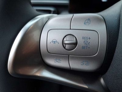 BYD Dolphin Surf Neuwagen