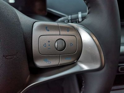 BYD Dolphin Surf Neuwagen