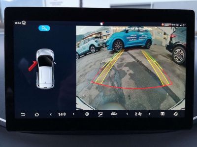 BYD Dolphin Surf Neuwagen