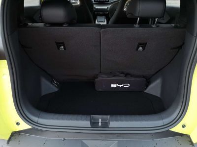 BYD Dolphin Surf Neuwagen