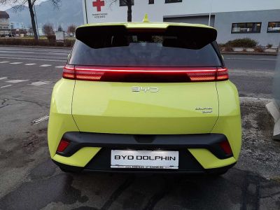 BYD Dolphin Surf Neuwagen