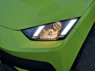 BYD Dolphin Surf Neuwagen