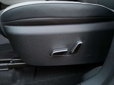 BYD Dolphin Surf Neuwagen