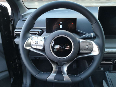 BYD Dolphin Surf Neuwagen