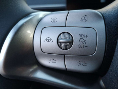 BYD Dolphin Surf Neuwagen