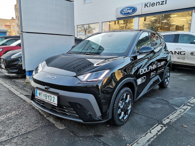 BYD Dolphin Surf Neuwagen