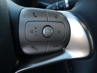 BYD Dolphin Surf Neuwagen