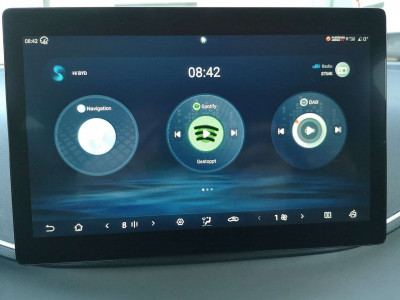 BYD Dolphin Surf Neuwagen