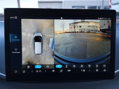 BYD Dolphin Surf Neuwagen