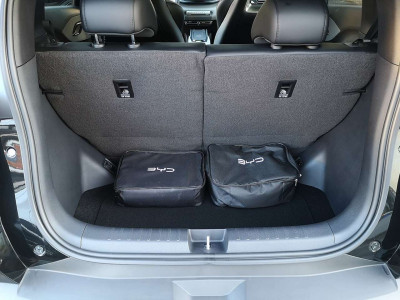 BYD Dolphin Surf Neuwagen