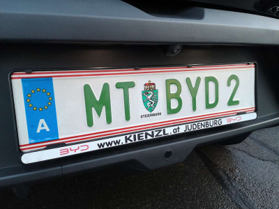 BYD Dolphin Surf Neuwagen