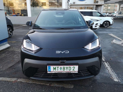 BYD Dolphin Surf Neuwagen