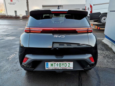 BYD Dolphin Surf Neuwagen